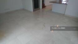 Hoover Park (D21), Terrace #313876431